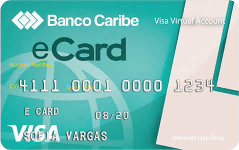 Visa Ecard
